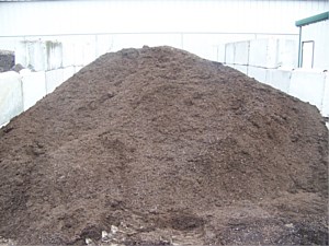 Black hummis soil